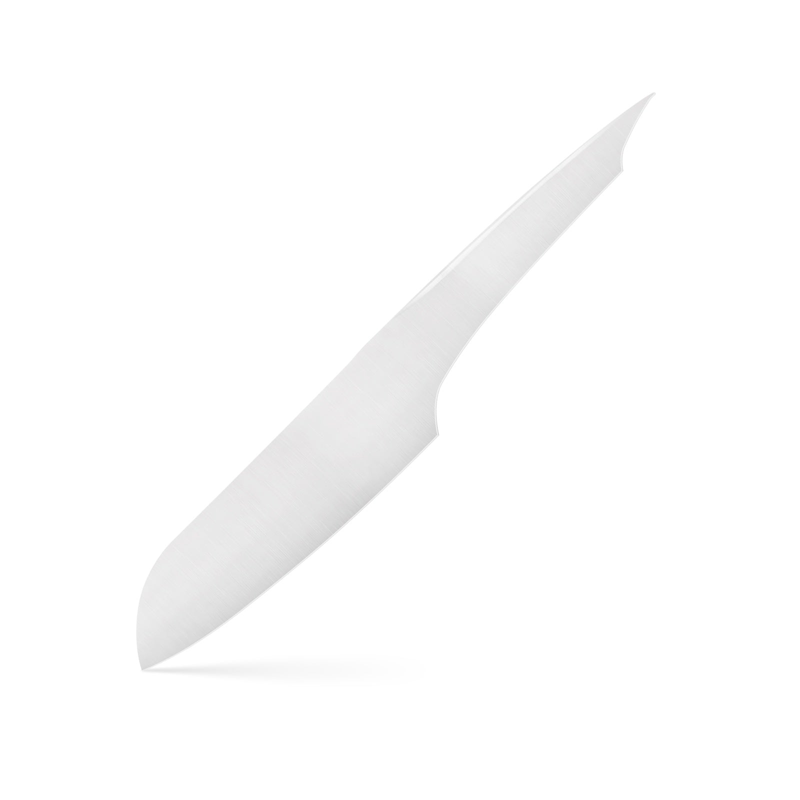 Steady santoku · white bg · 3/4 profile · matte silver
